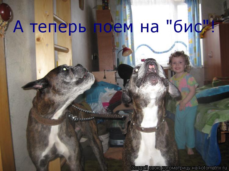Котоматрица: А теперь поем на "бис"!