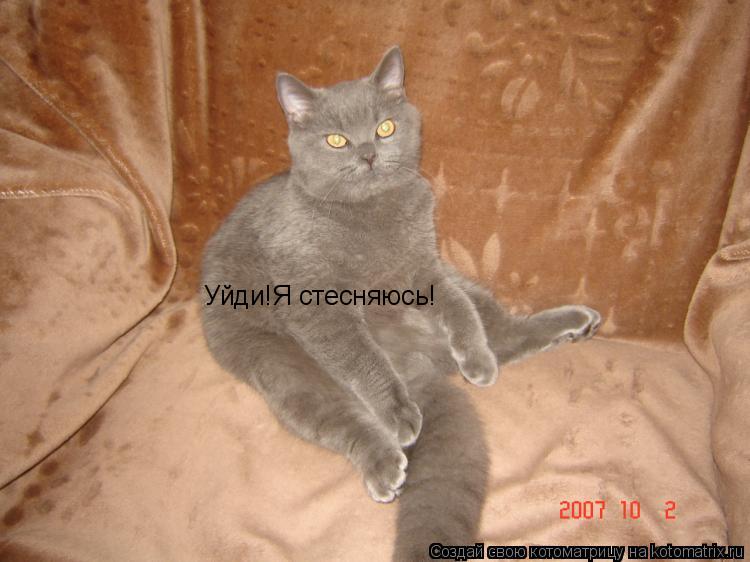 Котоматрица: Уйди!Я стесняюсь!
