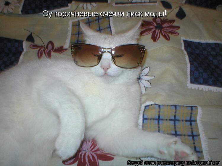 Котоматрица: Оу коричневые очечки писк моды!