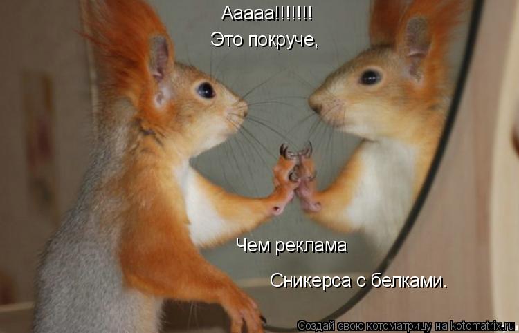 Ааааа!!!!!!! Это покруче, Чем реклама Сникерса с белками.... Котоматрица: Ааааа!!!!!!! Это покруче, Чем реклама Сникерса с белками.