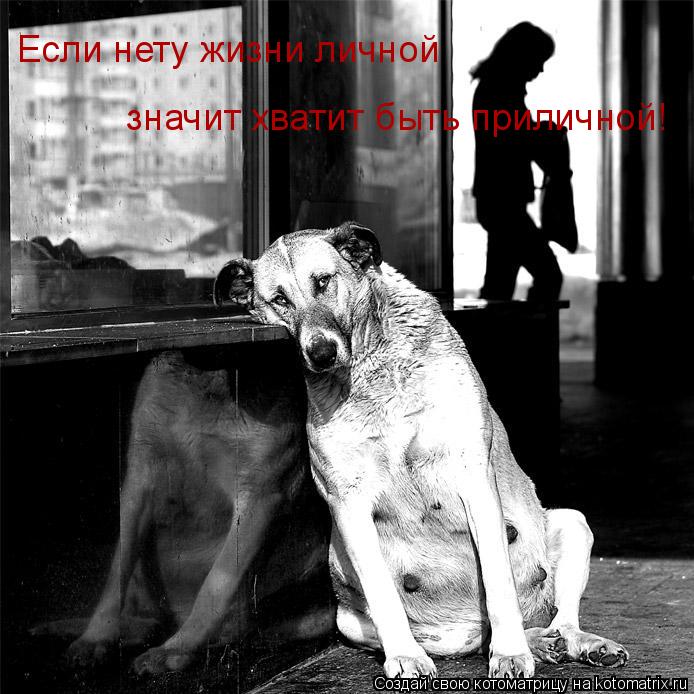 Если нету жизни личной значит хватит быть приличной!... Котоматрица: Если нету жизни личной значит хватит быть приличной!