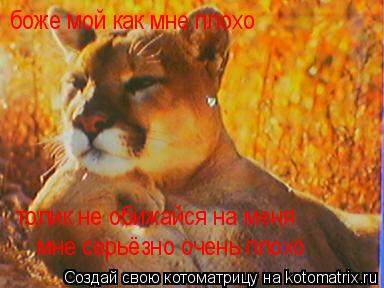 Котоматрица: боже мой как мне плохо толик не обижайся на меня  мне серьёзно очень плохо