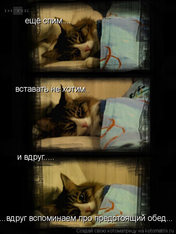 Котоматрица: ещё спим.... вставать не хотим.. и вдруг..... ...вдруг вспоминаем про предстоящий обед...