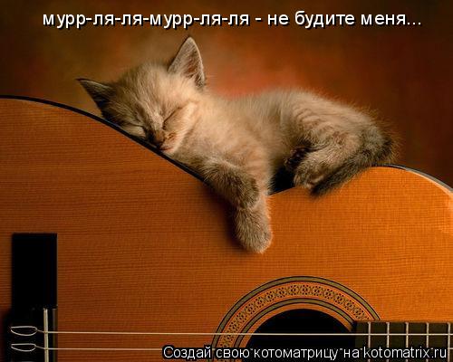 мурр-ля-ля-мурр-ля-ля - не будите меня... мурр-ля-ля-мурр-ля-ля - не будите меня...... Котоматрица: мурр-ля-ля-мурр-ля-ля - не будите меня... мурр-ля-ля-мурр-ля-ля - не будите меня...