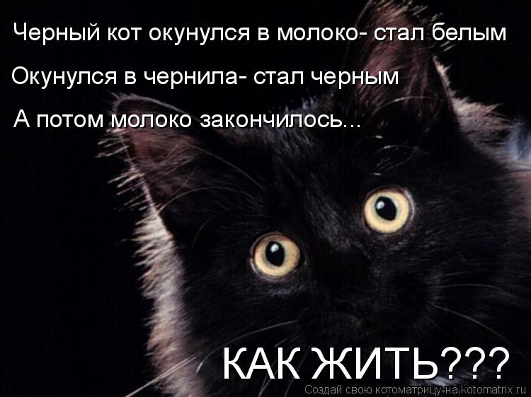 Черный кот окунулся в молоко- стал белым Окунулся в чернила- стал черным А потом молоко закончилось..... Котоматрица: Черный кот окунулся в молоко- стал белым Окунулся в чернила- стал черным А потом молоко закончилось... КАК ЖИТЬ???