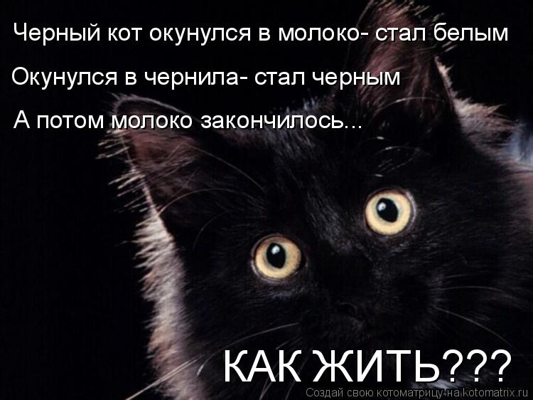 Котоматрица: Черный кот окунулся в молоко- стал белым Окунулся в чернила- стал черным А потом молоко закончилось... КАК ЖИТЬ???