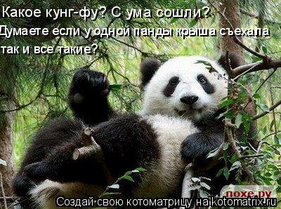 Котоматрица: Какое кунг-фу? С ума сошли? Думаете если у одной панды крыша съехала так и все такие?
