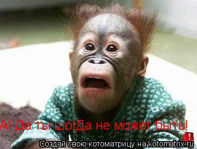 Котоматрица: А! Да ты шо!Да не может быть!