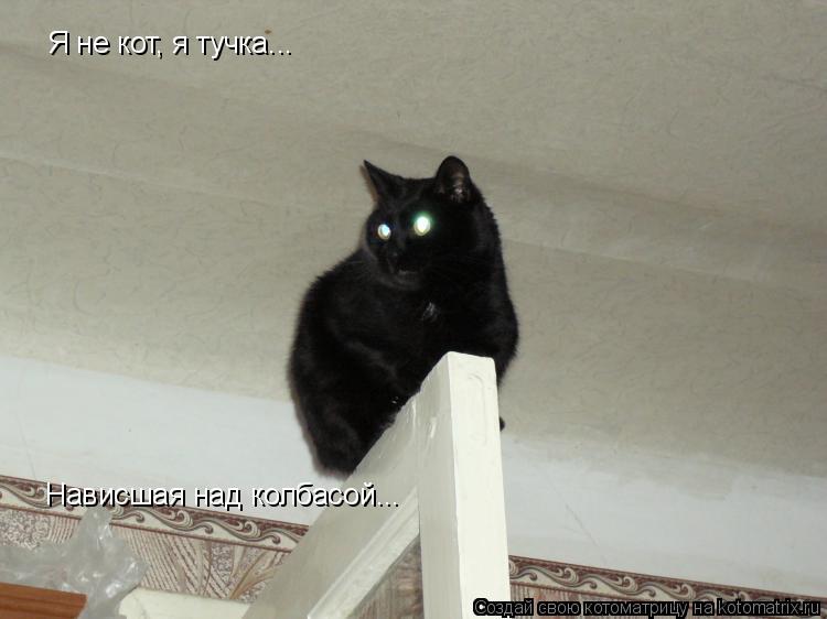 Котоматрица: Я не кот, я тучка... Нависшая над колбасой...