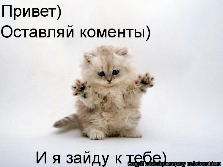 Котоматрица: Привет) Оставляй коменты) И я зайду к тебе)