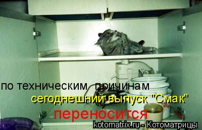 Котоматрица: по техническим  причинам  сегоднешний выпуск "Смак"  переносится