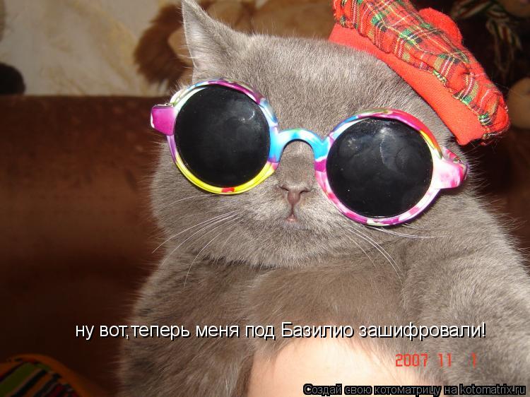Котоматрица: ну вот,теперь меня под Базилио зашифровали!