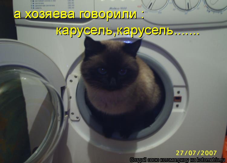 Котоматрица: а хозяева говорили : карусель,карусель.......