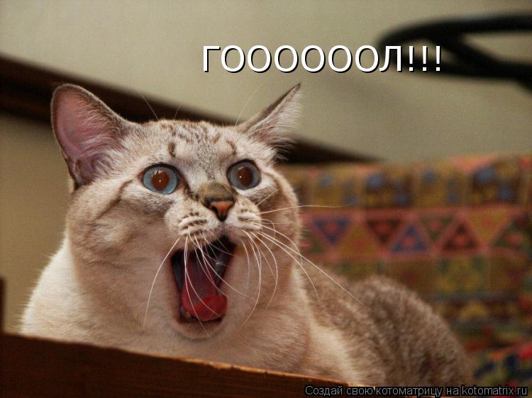 Котоматрица: ГООООООЛ!!!