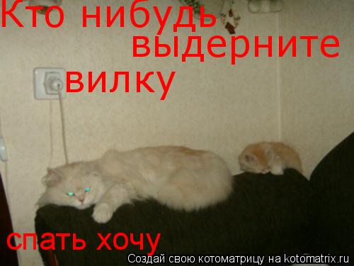 Котоматрица: Кто нибудь выдерните вилку спать хочу