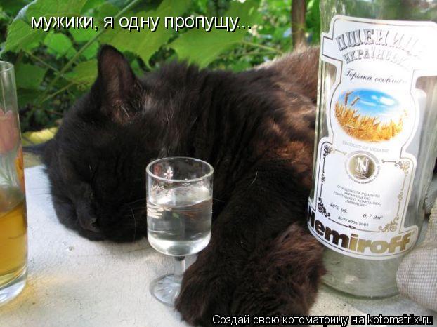 мужики, я одну пропущу...... Котоматрица: мужики, я одну пропущу...