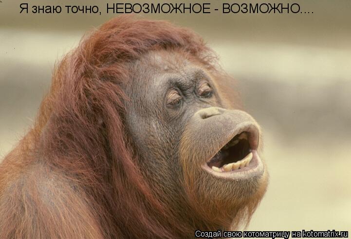 Котоматрица: Я знаю точно, НЕВОЗМОЖНОЕ - ВОЗМОЖНО....