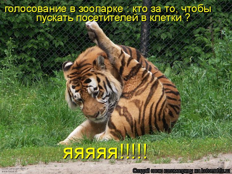 Котоматрица: голосование в зоопарке : кто за то, чтобы пускать посетителей в клетки ? яяяяя!!!!!