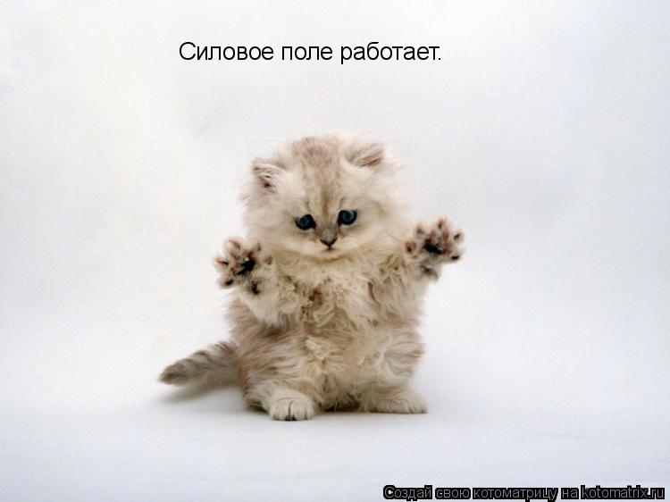Силовое поле работает.... Котоматрица: Силовое поле работает.