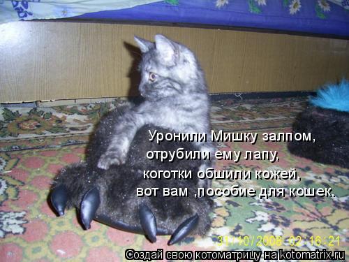 Котоматрица: Уронили Мишку залпом, отрубили ему лапу, коготки обшили кожей, вот вам ,пособие для кошек.