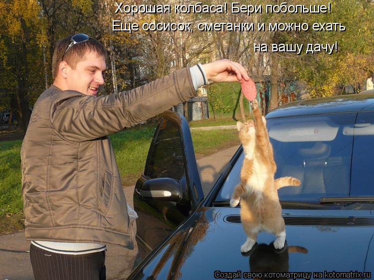 Котоматрица: Хорошая колбаса! Бери побольше!  Еще сосисок, сметанки и можно ехать  на вашу дачу!