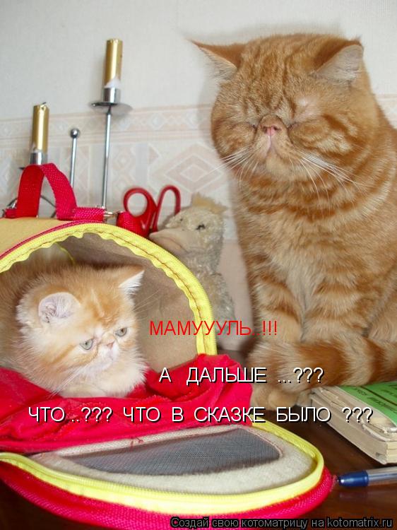Котоматрица: МАМУУУЛЬ..!!!   А   ДАЛЬШЕ  ...??? ЧТО ..???  ЧТО  В  СКАЗКЕ  БЫЛО  ???