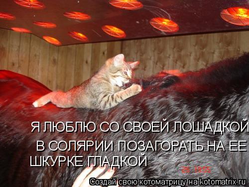 Котоматрица: Я ЛЮБЛЮ СО СВОЕЙ ЛОШАДКОЙ В СОЛЯРИИ ПОЗАГОРАТЬ НАШКУРКЕ ГЛАДКОЙ   В СОЛЯРИИ ПОЗАГОРАТЬ НА ЕЕ ШКУРКЕ ГЛАДКОЙ  ШКУРКЕ ГЛАДКОЙ