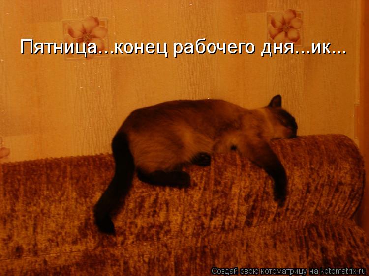 Котоматрица: Пятница...конец рабочего дня...ик...
