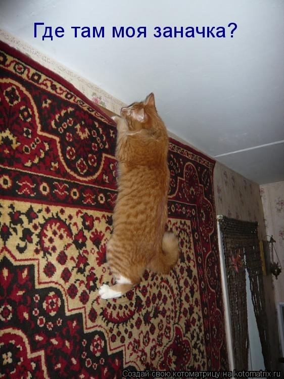 Где там моя заначка?... Котоматрица: Где там моя заначка?