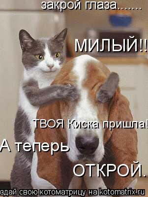 закрой глаза....... МИЛЫЙ!!! ОТКРОЙ... ТВОЯ Киска пришла! А теперь... Котоматрица: закрой глаза....... МИЛЫЙ!!! ОТКРОЙ... ТВОЯ Киска пришла! А теперь