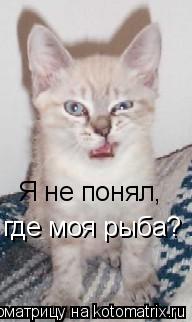 Я не понял, где моя рыба?... Котоматрица: Я не понял, где моя рыба?
