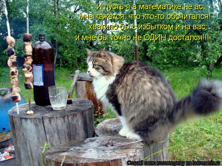И пусть я в математике не ас, мне кажется, что кто-то обсчитался! хватило бы с избытком и на вас, и ... Котоматрица: И пусть я в математике не ас, мне кажется, что кто-то обсчитался! хватило бы с избытком и на вас, и мне бы точно не ОДИН достался!!!