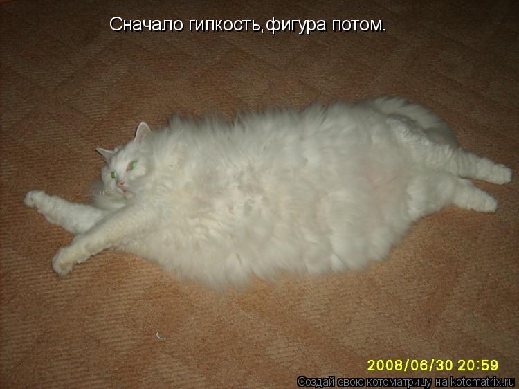 Сначало гипкость,фигура потом.... Котоматрица: Сначало гипкость,фигура потом.