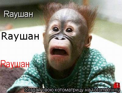 Котоматрица: Rаушан Rаушан Rаушан