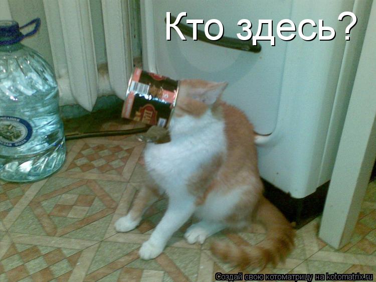 Котоматрица: Кто здесь?