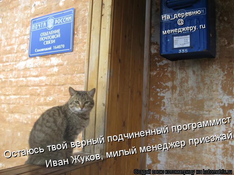 Котоматрица: На_деревню менеджеру. ru  @  Остаюсь твой верный подчиненный программист   Иван Жуков, милый менеджер приезжай.