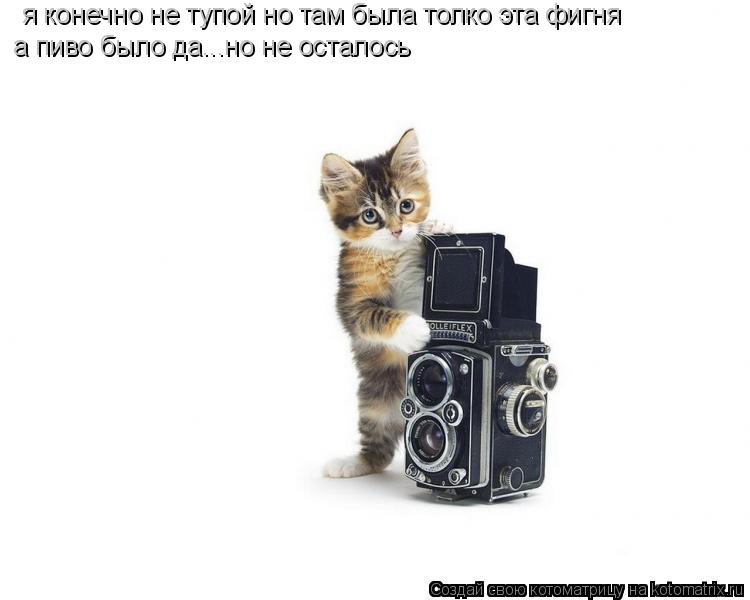 Котоматрица: я конечно не тупой но там была толко эта фигня а пиво было да...но не осталось