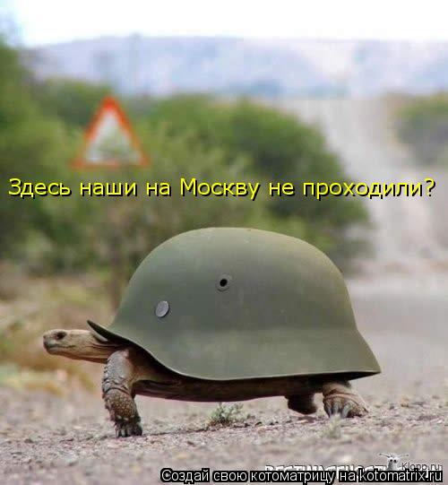 Котоматрица: Здесь наши на Москву не проходили?