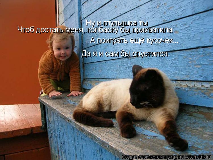 Котоматрица: Ну и глупышка ты А поиграть ещё кусочек... Чтоб достать меня, колбаску бы прихватила Да я и сам бы спустился.