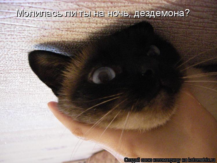 Котоматрица: Молилась ли ты на ночь, дездемона?