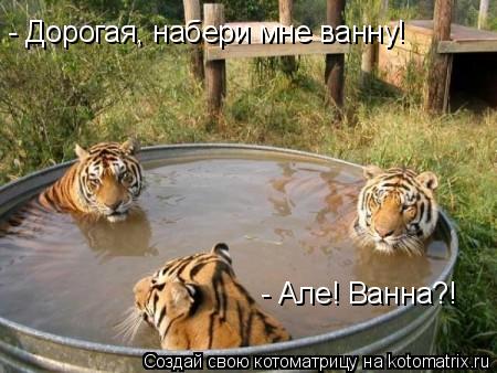 - Дорогая, набери мне ванну! - Але! Ванна?!... Котоматрица: - Дорогая, набери мне ванну! - Але! Ванна?!