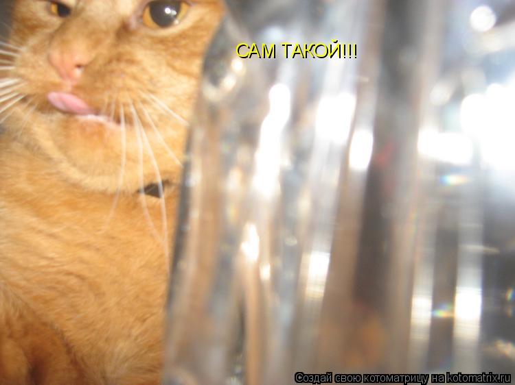 Котоматрица: САМ ТАКОЙ!!!