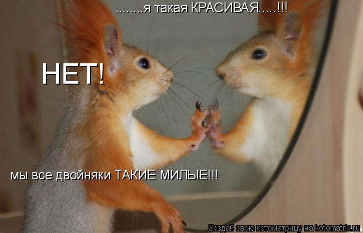 ........я такая КРАСИВАЯ.....!!! мы все двойняки ТАКИЕ МИЛЫЕ!!! НЕТ!... Котоматрица: ........я такая КРАСИВАЯ.....!!! мы все двойняки ТАКИЕ МИЛЫЕ!!! НЕТ!