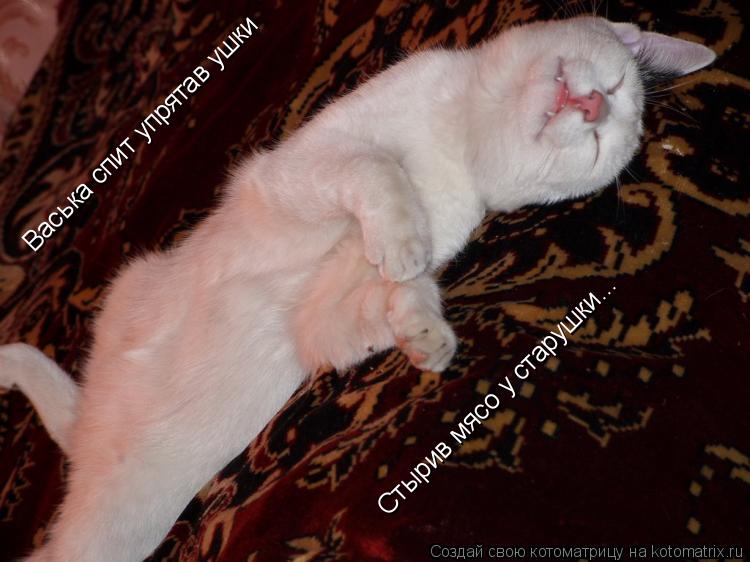 Васька спит упрятав ушки Стырив мясо у старушки...... Котоматрица: Васька спит упрятав ушки Стырив мясо у старушки...