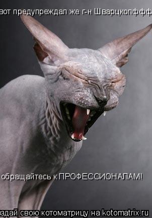 вот предупреждал же г-н Шварцкопффф- обращайтесь к ПРОФЕССИОНАЛАМ!... Котоматрица: вот предупреждал же г-н Шварцкопффф- обращайтесь к ПРОФЕССИОНАЛАМ!