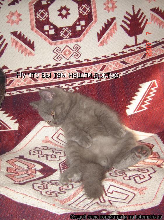 Котоматрица: Ну что вы там нашли,доктор,