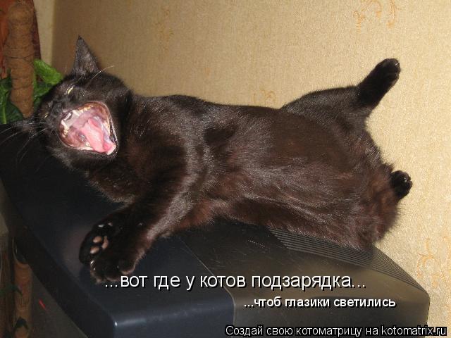 Котоматрица: ...вот где у котов подзарядка... ...чтоб глазики светились