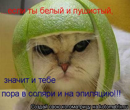 Котоматрица: значит и тебе  значит и тебе  пора в соляри и на эпиляцию!!! ...если ты белый и пушистый,