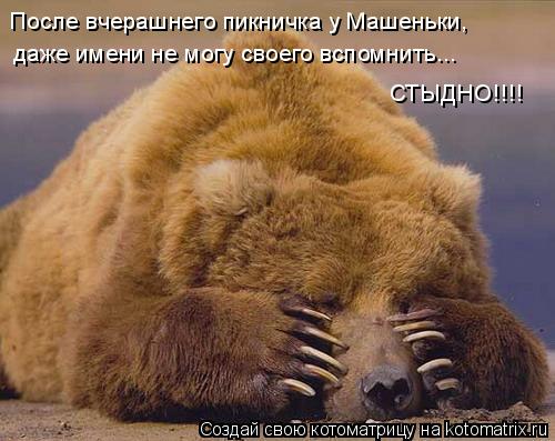 Котоматрица: После вчерашнего пикничка у Машеньки, даже имени не могу своего вспомнить... СТЫДНО!!!!