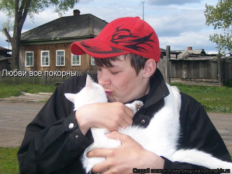 Котоматрица: Любви все покорны...